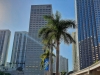 Miami Down town